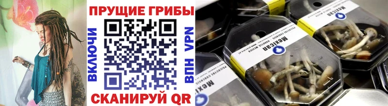 Галлюциногенные грибы Psilocybe  Купить где  Туринск 